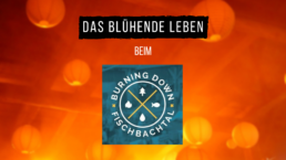 Logos: Video-Interview mit der Band das blühende leben auf dem Burning Down Fischbachtal Festival im Odenwald