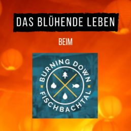 Logos: Video-Interview mit der Band das blühende leben auf dem Burning Down Fischbachtal Festival im Odenwald