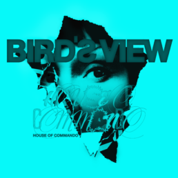 House Of COmmando Albumcover von Bird's View