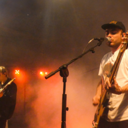 Das Blühende Leben auf dem Burning Down Fischbachtal Festival im Odenwald