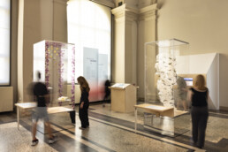 Museumsschaukästen aus Glas mit umstehenden Besuchenden