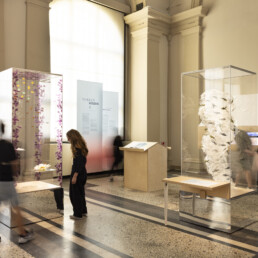 Museumsschaukästen aus Glas mit umstehenden Besuchenden